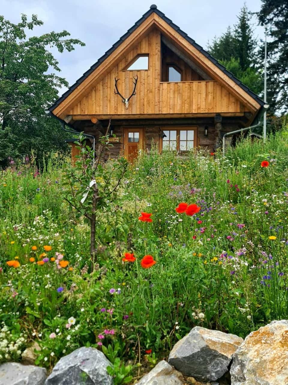 Villa Blockhaus Panhuette Braunlage Exterior foto